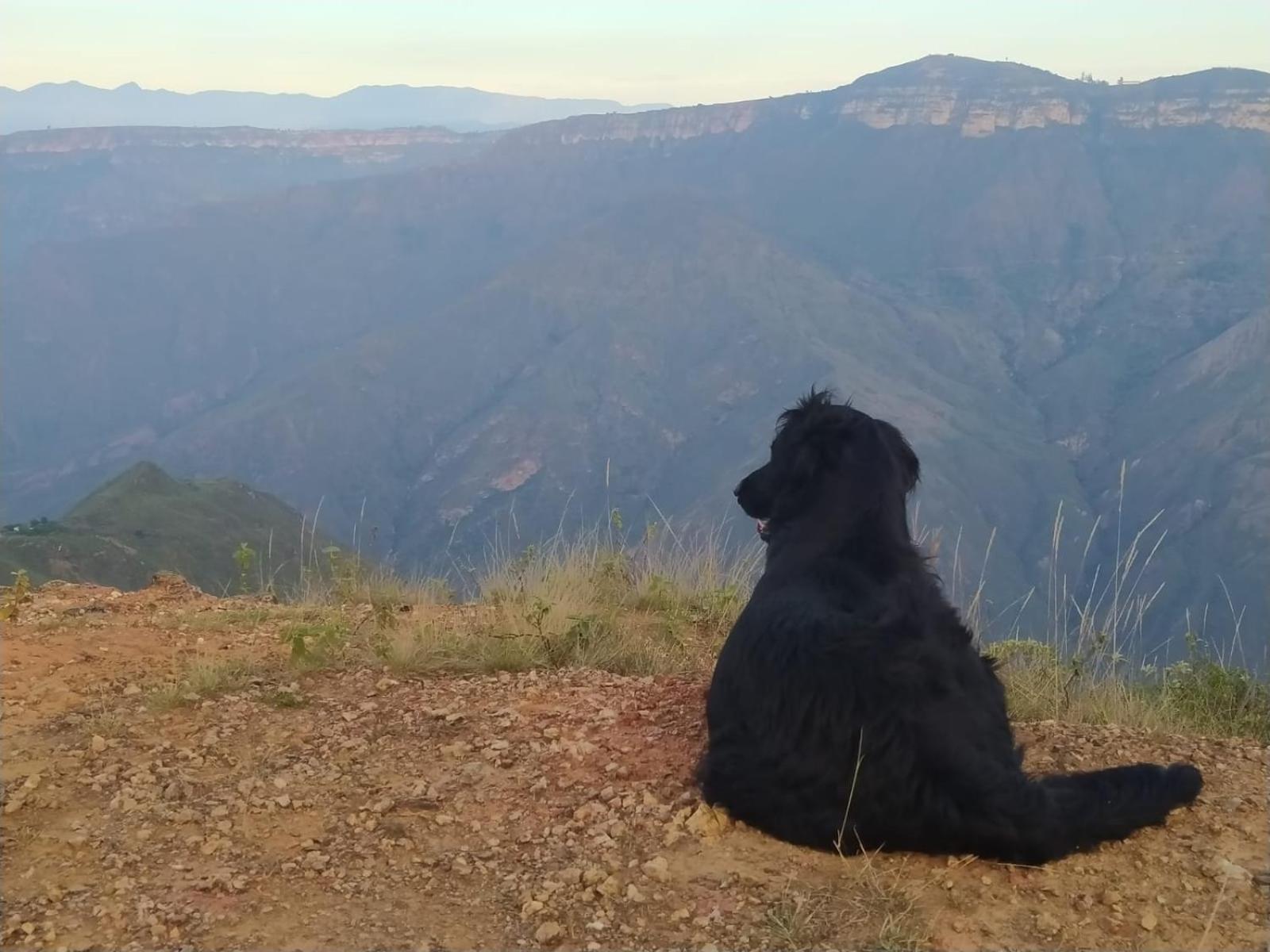 Canon Del Chicamocha *