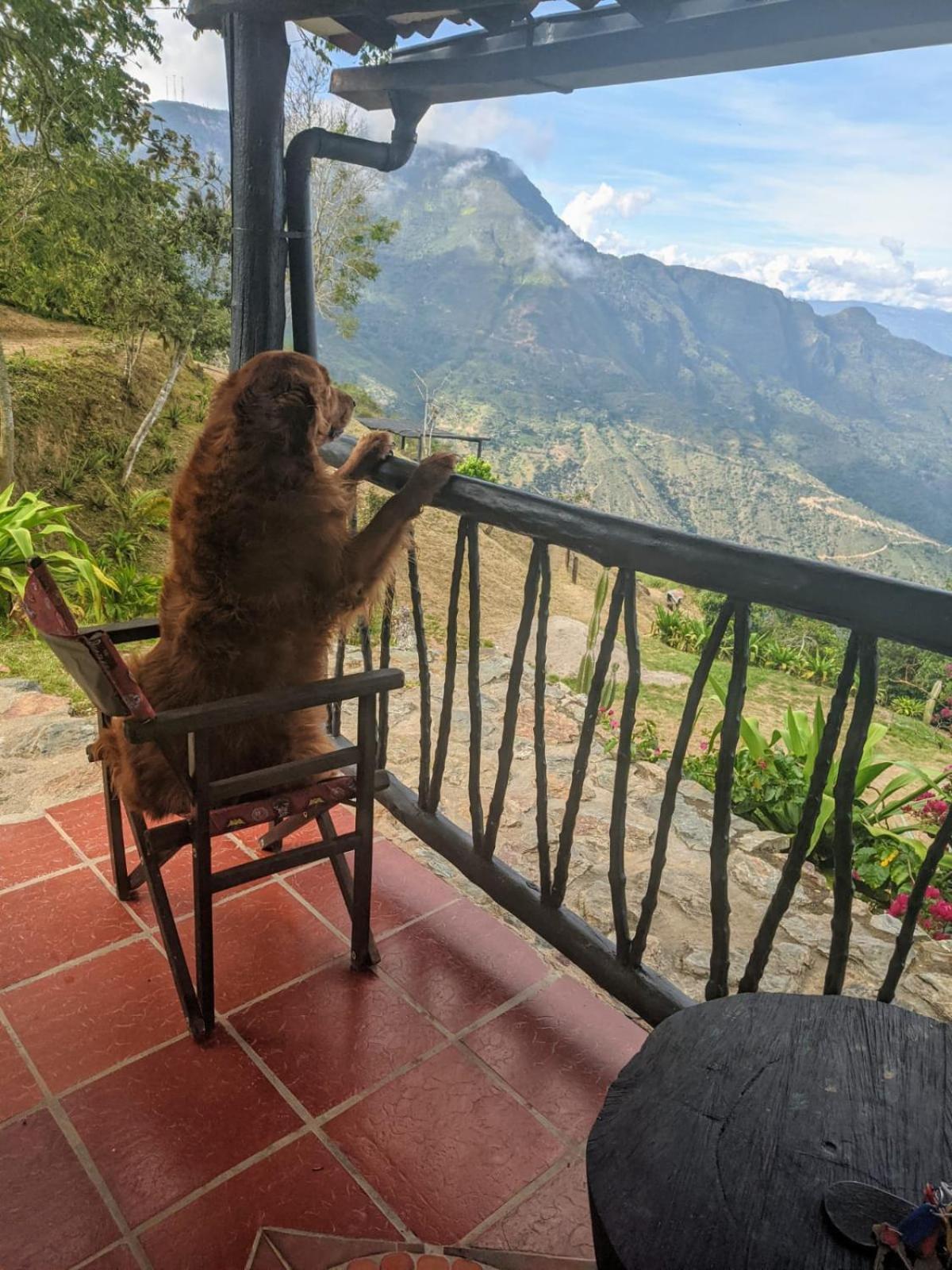 Canon Del Chicamocha *