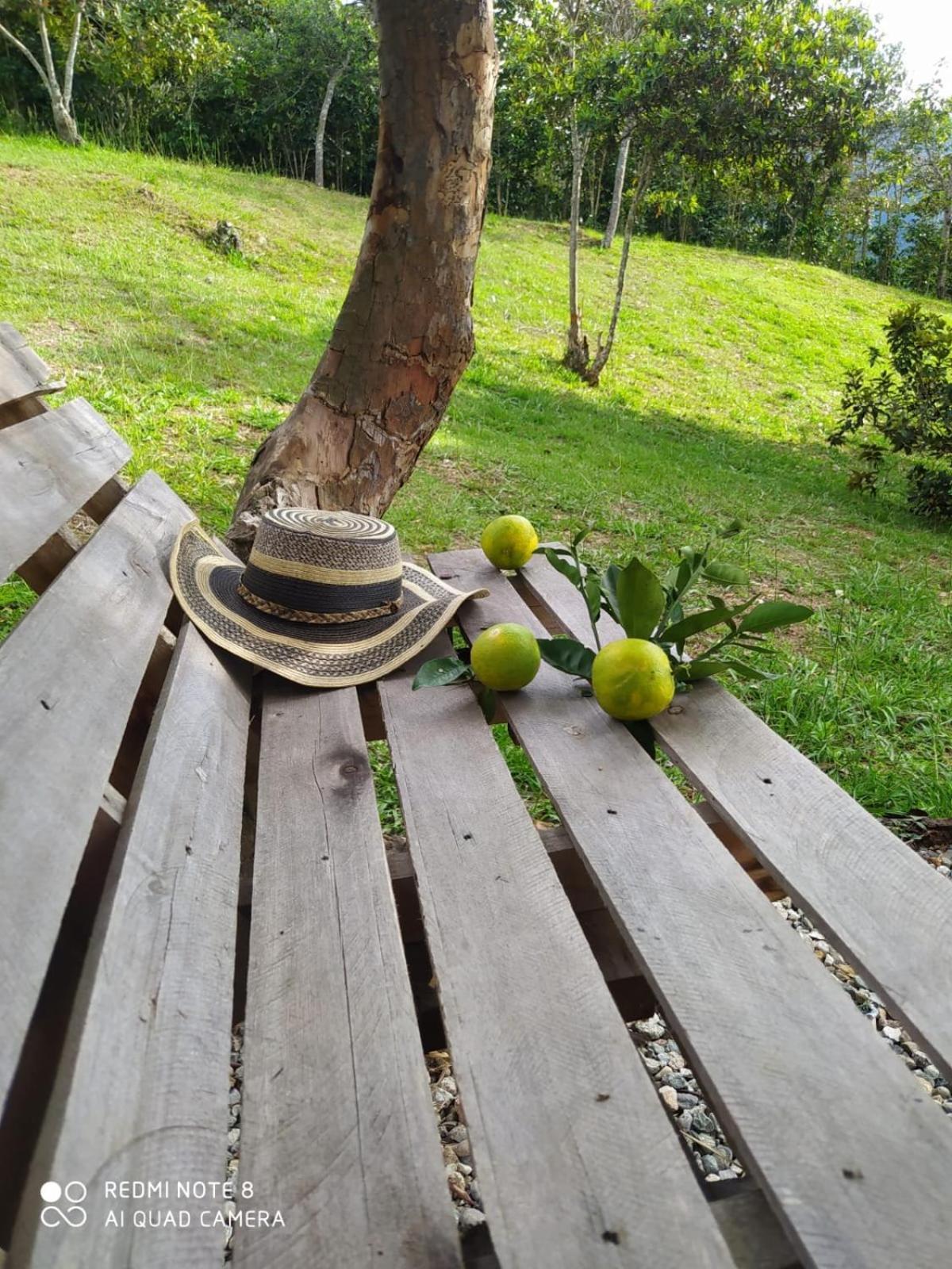 農家樂 Canon Del Chicamocha Aratoca